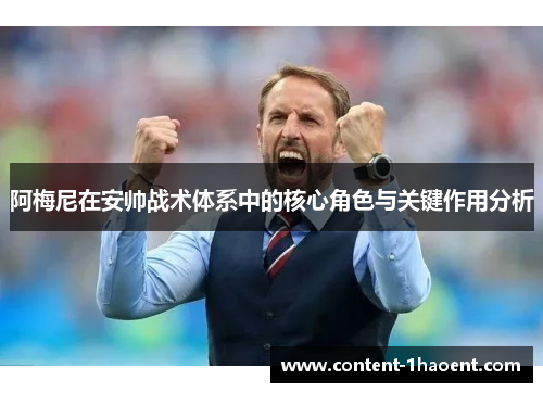 阿梅尼在安帅战术体系中的核心角色与关键作用分析