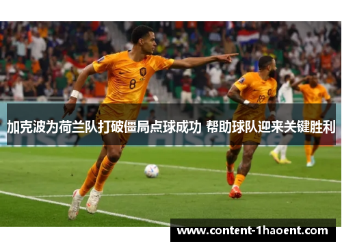 加克波为荷兰队打破僵局点球成功 帮助球队迎来关键胜利